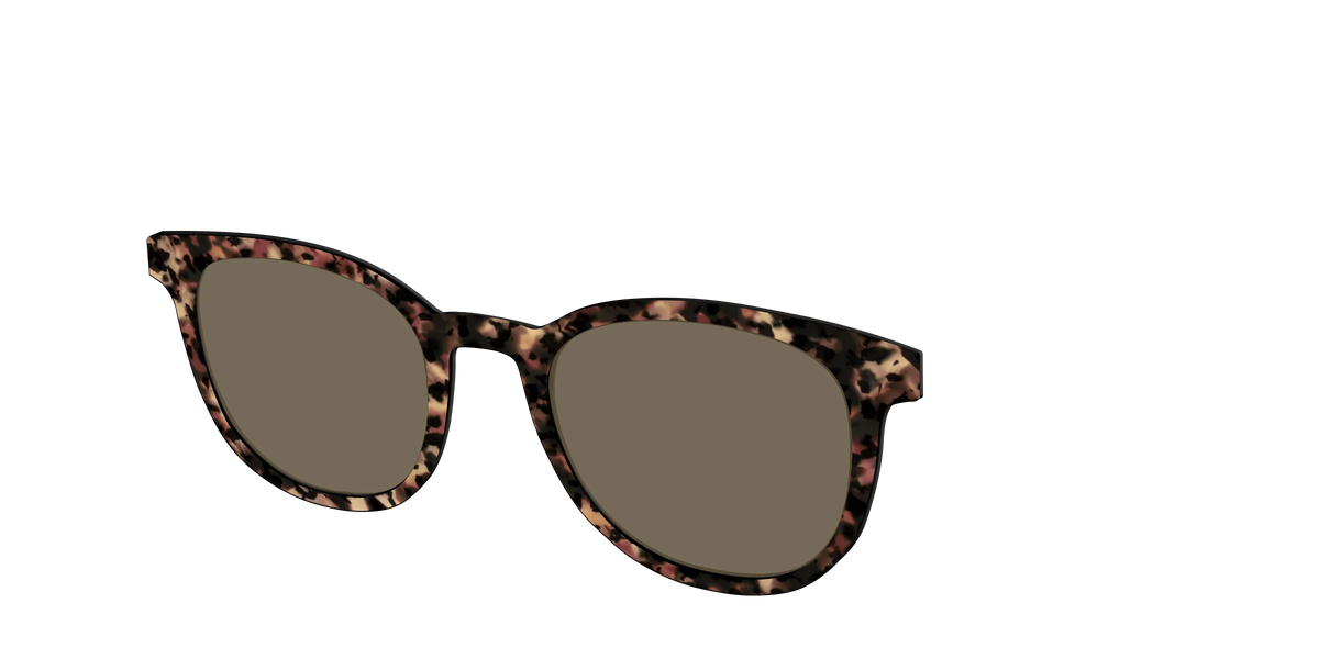 The Polarized Sienna Tortoise Sun Top