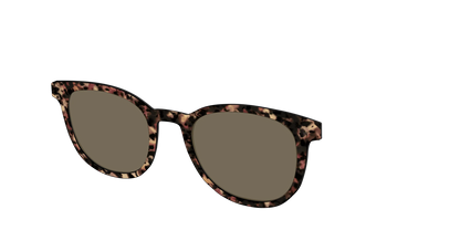 The Polarized Sienna Tortoise Sun Top
