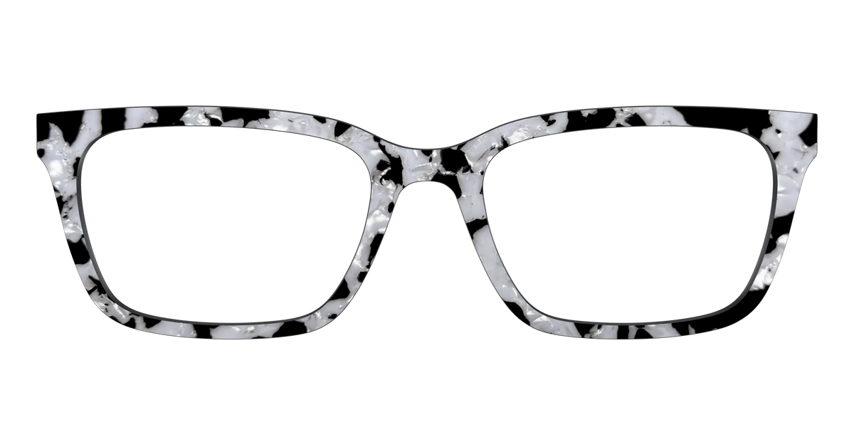 The Black & White Pearl Tortoise