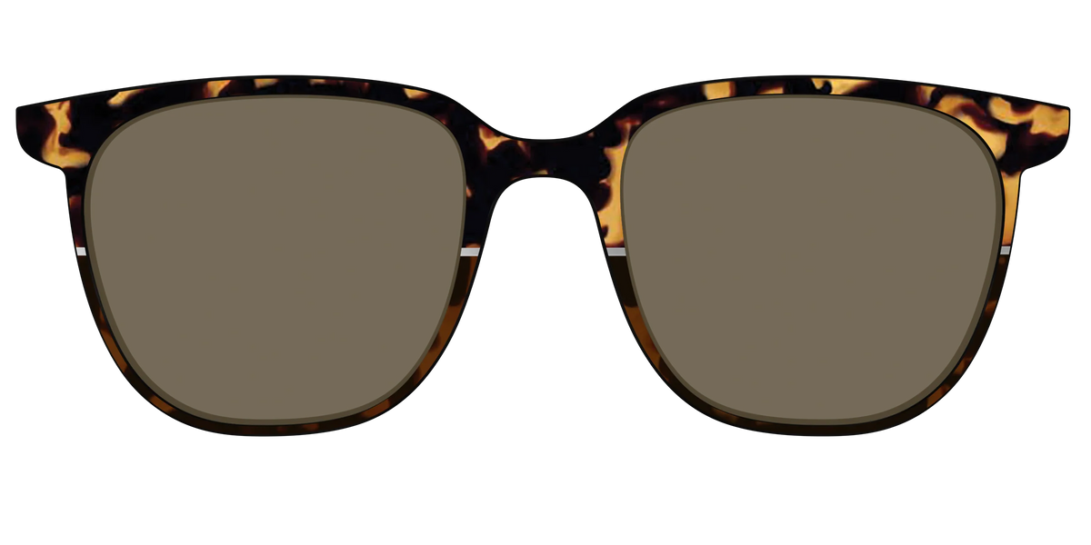The Polarized Chic Tortoise Split Sun Top