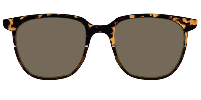 The Polarized Chic Tortoise Split Sun Top