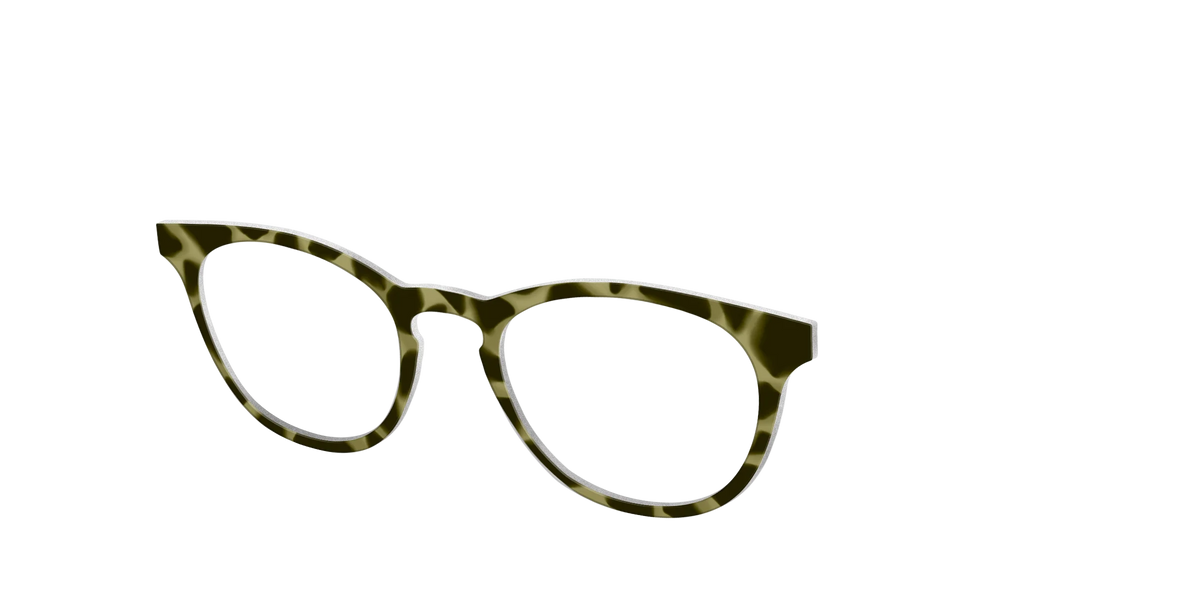 The Olive Tortoise