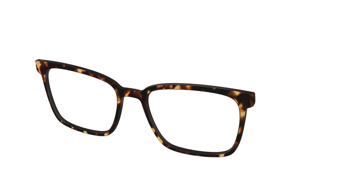 The Tortoise