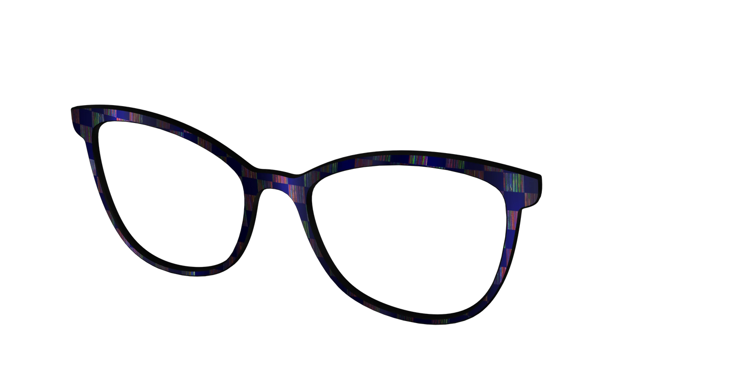 The Black Holographic Check