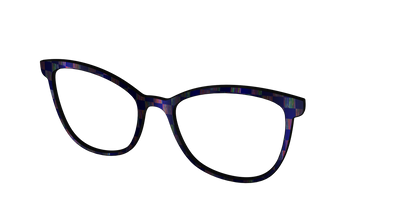 The Black Holographic Check