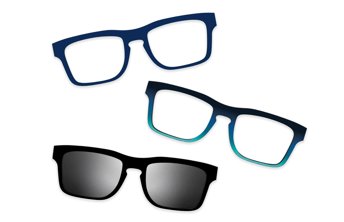 Blue Tortoise - Set