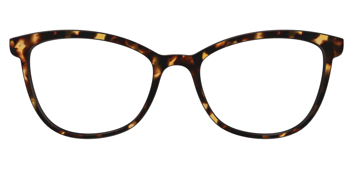 The Tortoise