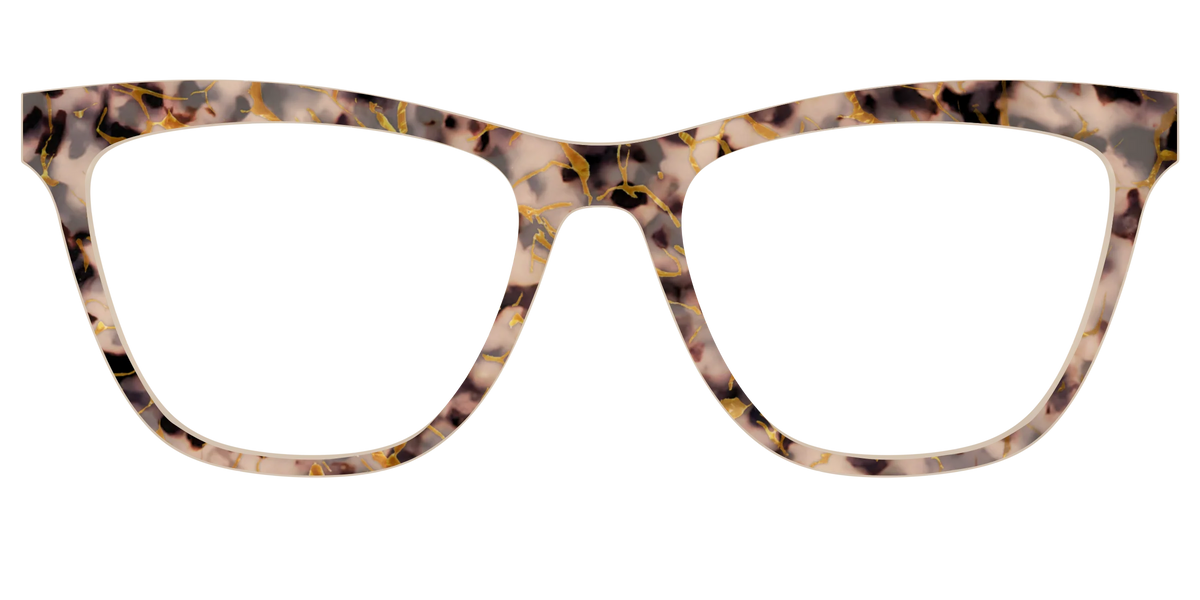The Almond Tortoise with Gold Streaks