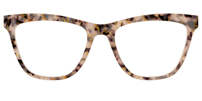 The Almond Tortoise with Gold Streaks