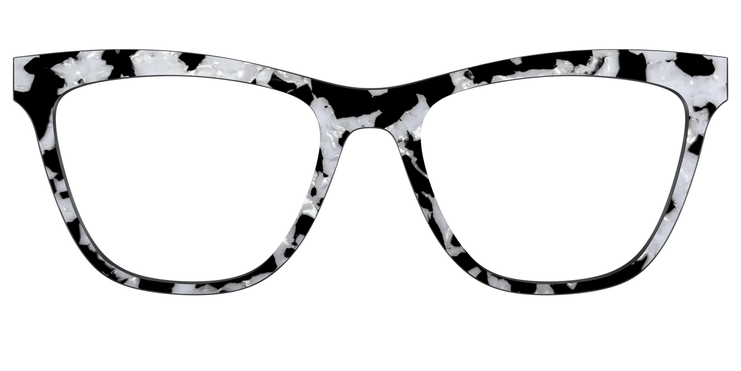 The Black & White Pearl Tortoise