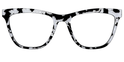 The Black & White Pearl Tortoise