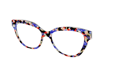 The Tempo Tortoise