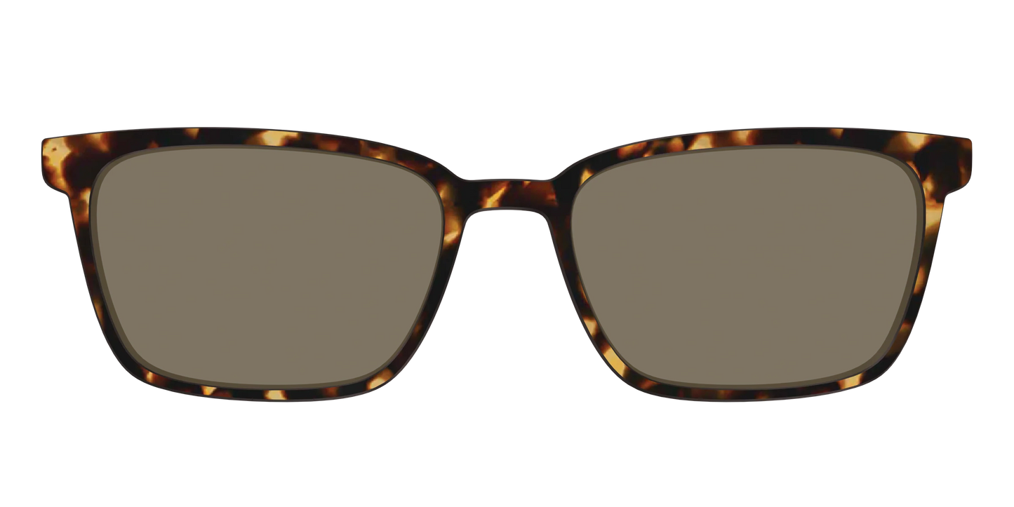 The Polarized Tortoise Sun Top