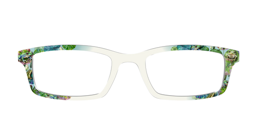 The Froggy Friends