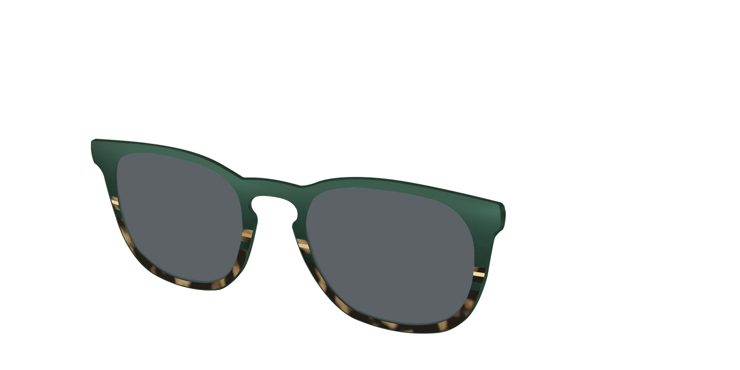 The Polarized Spruce Tortoise Sun Top