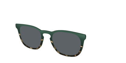 The Polarized Spruce Tortoise Sun Top