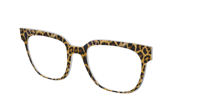 The Cheetah Spots