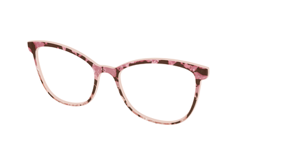The Pale Peach Pearl Tortoise