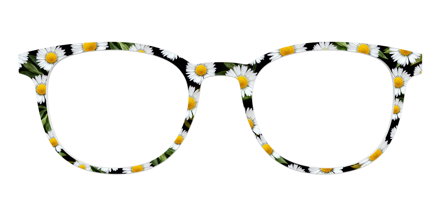 The Delicate Daisies