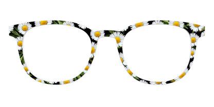 The Delicate Daisies