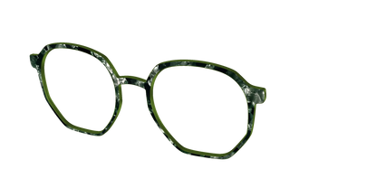 The Olive Pearl Tortoise