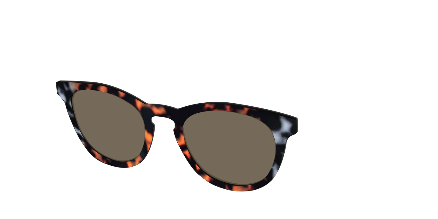The Polarized Gray & Amber Tortoise Sun Top