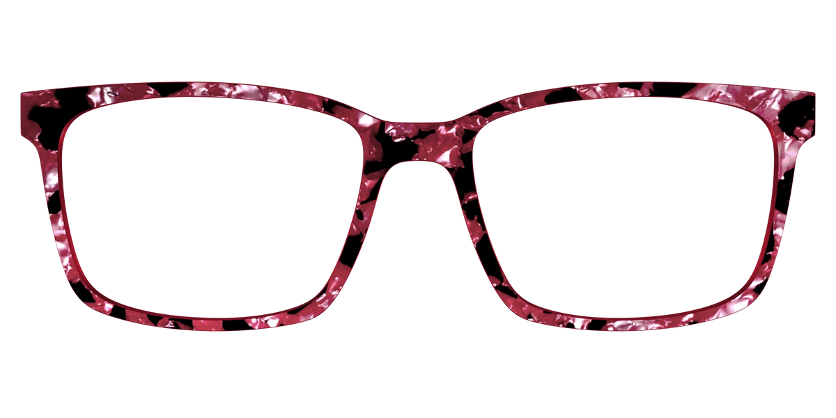 The Raspberry Pearl Tortoise