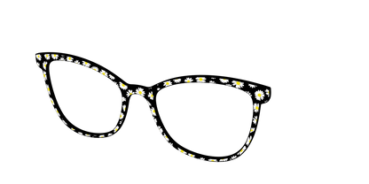 The Black Daisy