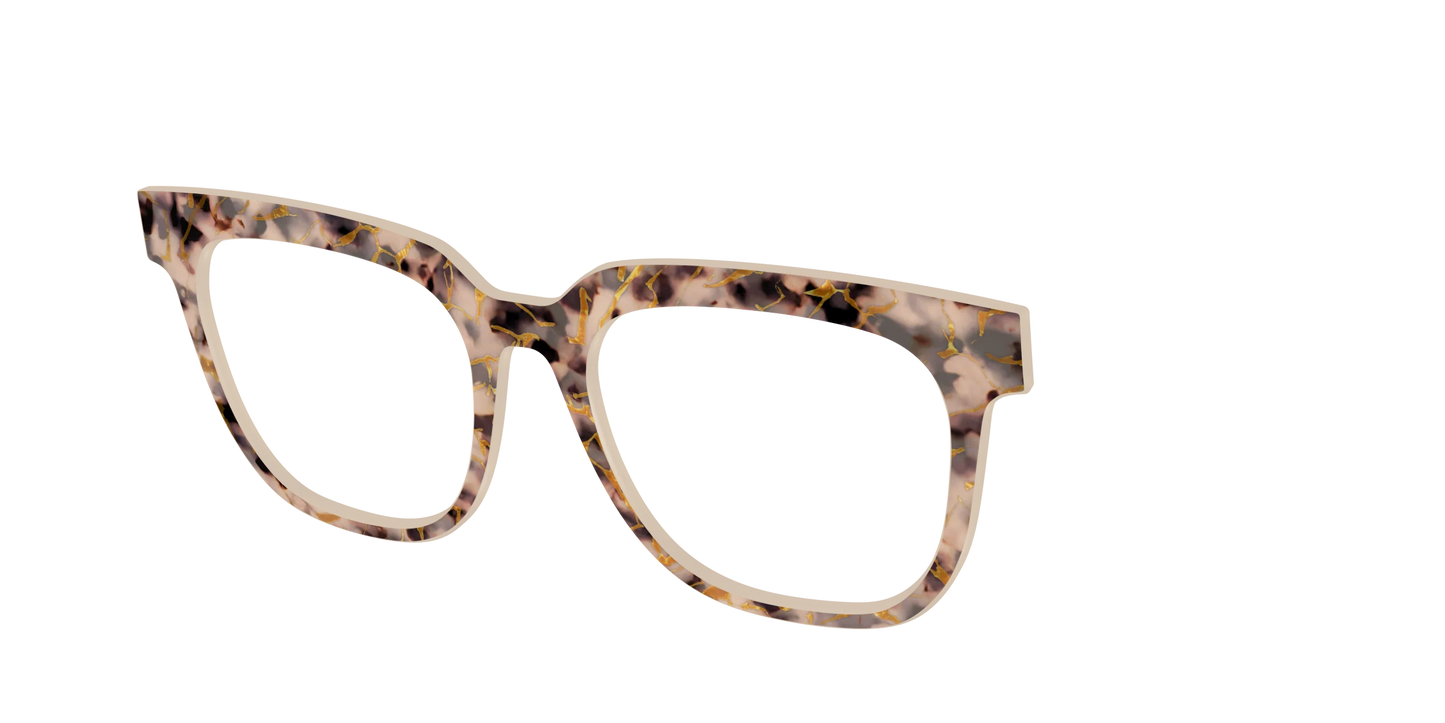 The Almond Tortoise with Gold Streaks