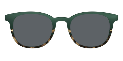 The Polarized Spruce Tortoise Sun Top