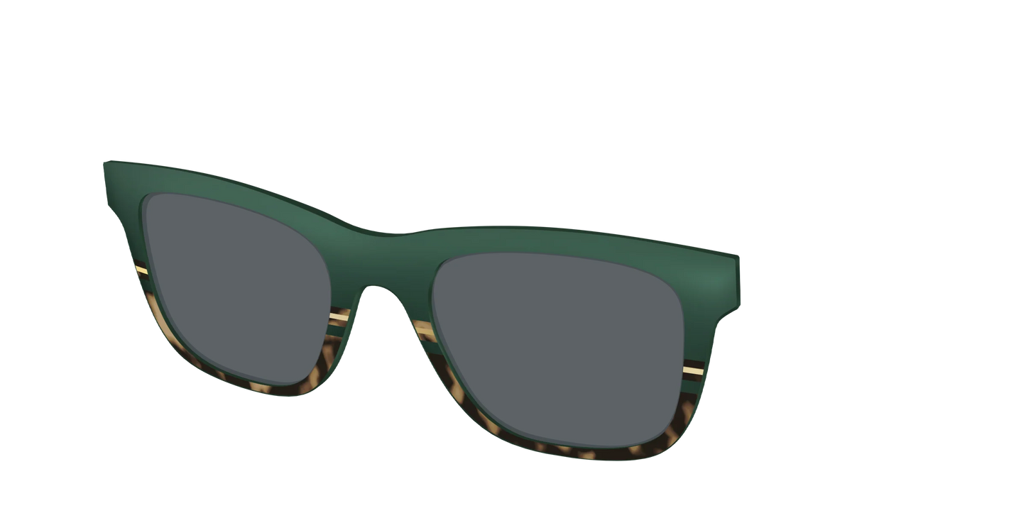 The Polarized Spruce Tortoise Sun Top
