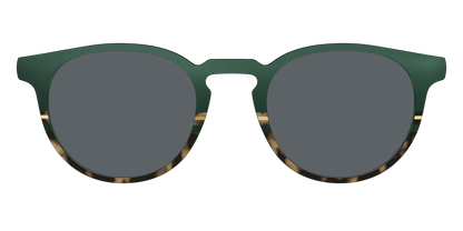 The Polarized Spruce Tortoise Sun Top