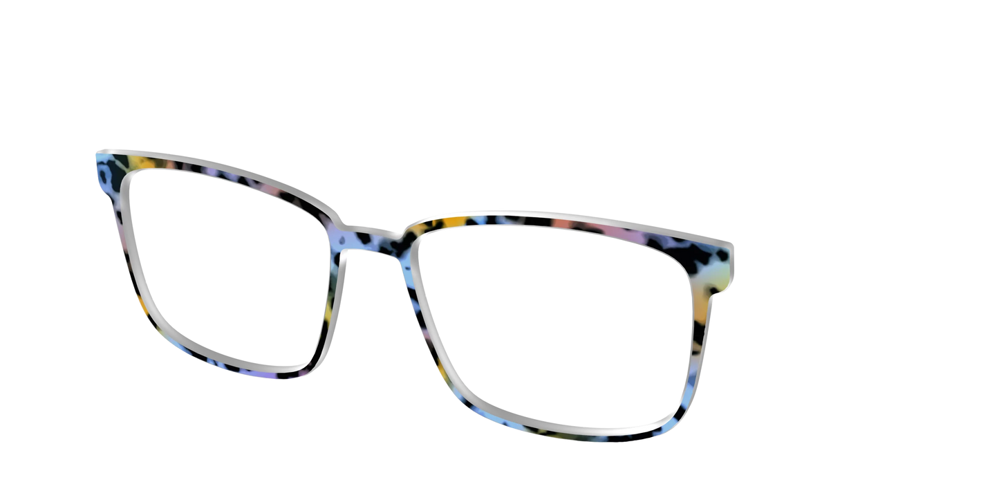 The Positano Tortoise