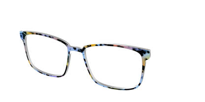 The Positano Tortoise