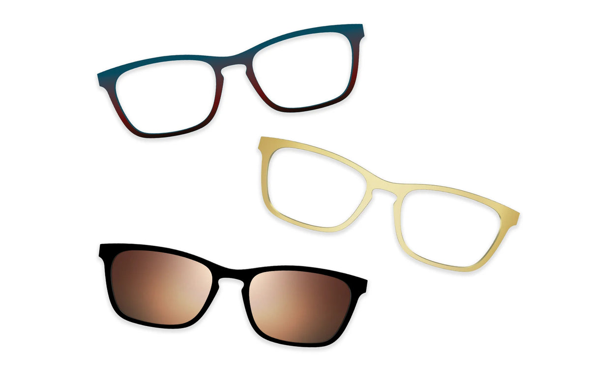 Tortoise Acetate Gold Metal - Set