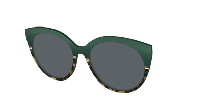 The Polarized Spruce Tortoise Sun Top