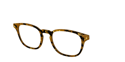 The Tiger's Eye Pearl Tortoise