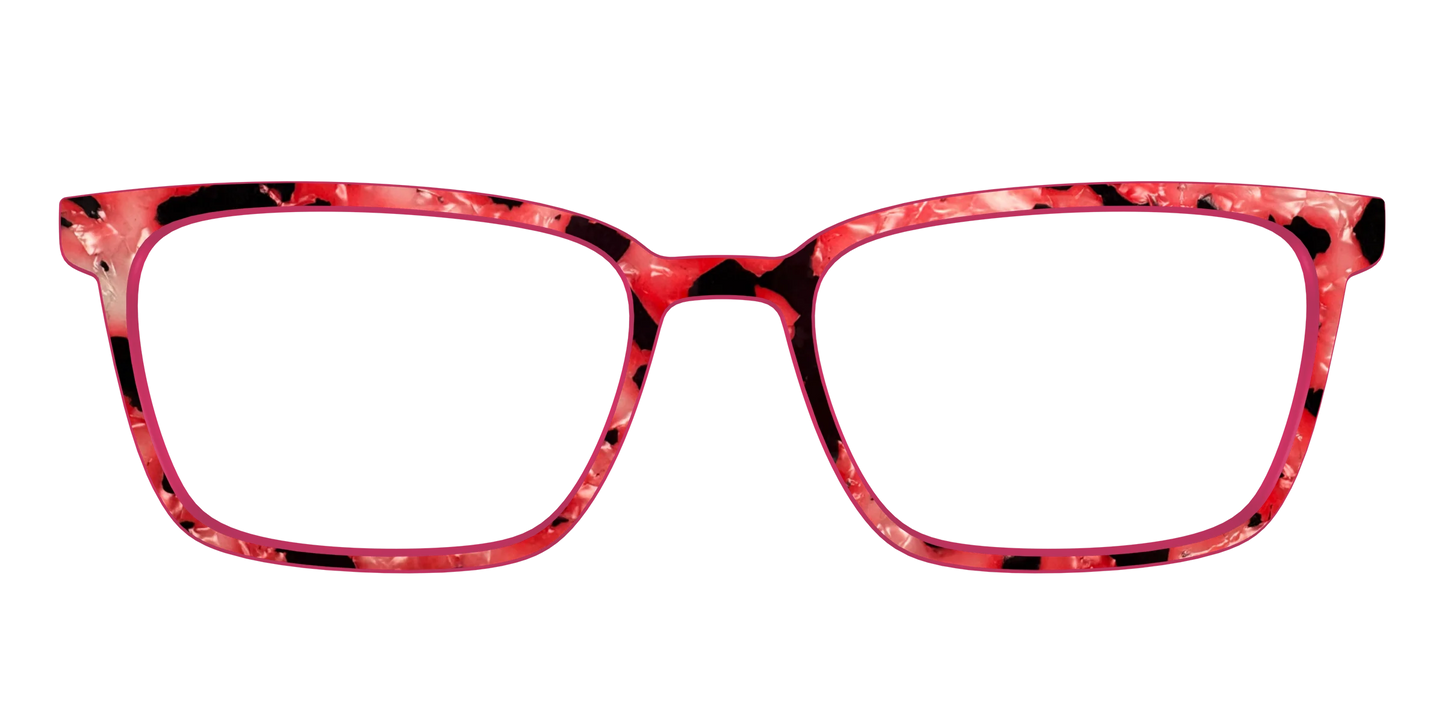 The Red Agate Pearl Tortoise