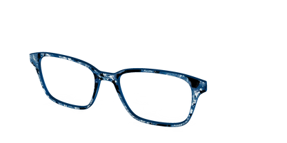 The Midnight Blue Pearl Tortoise