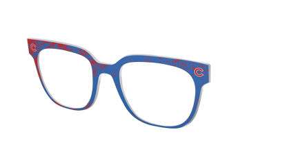 The Cubs Home Run