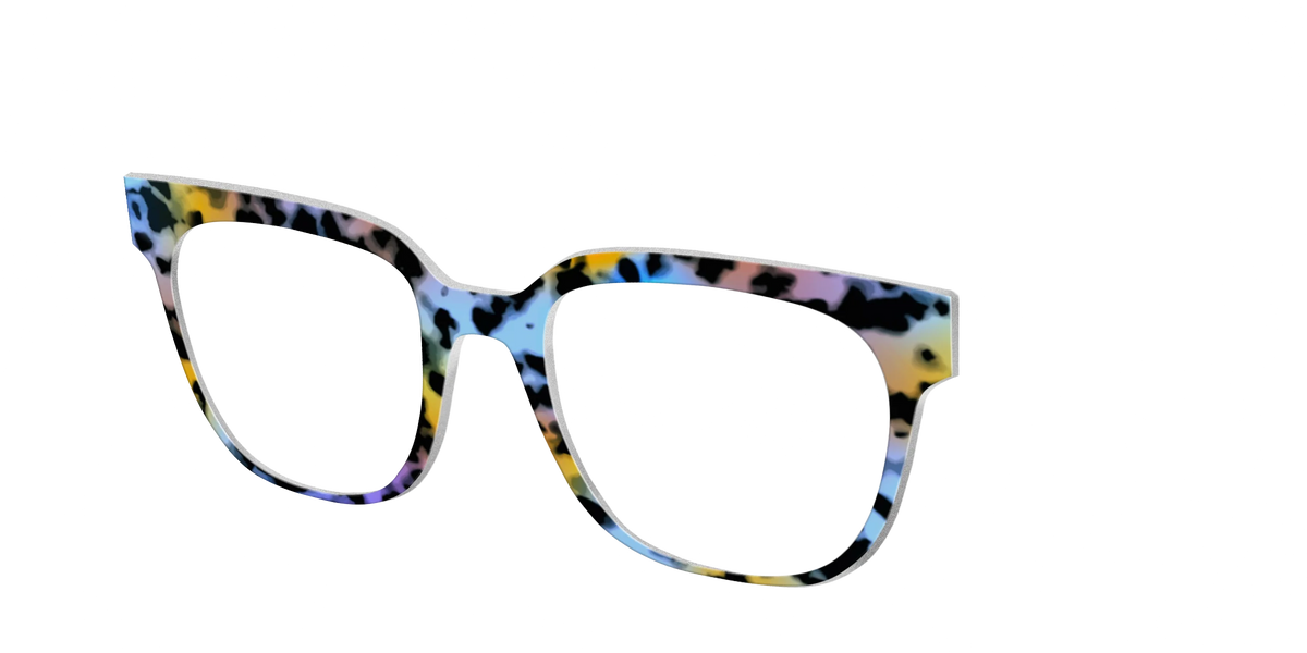 The Positano Tortoise
