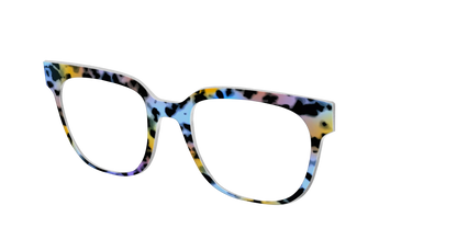 The Positano Tortoise