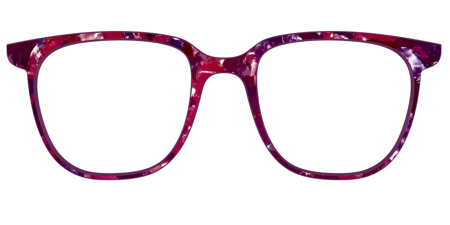 The Mulberry Pearl Tortoise