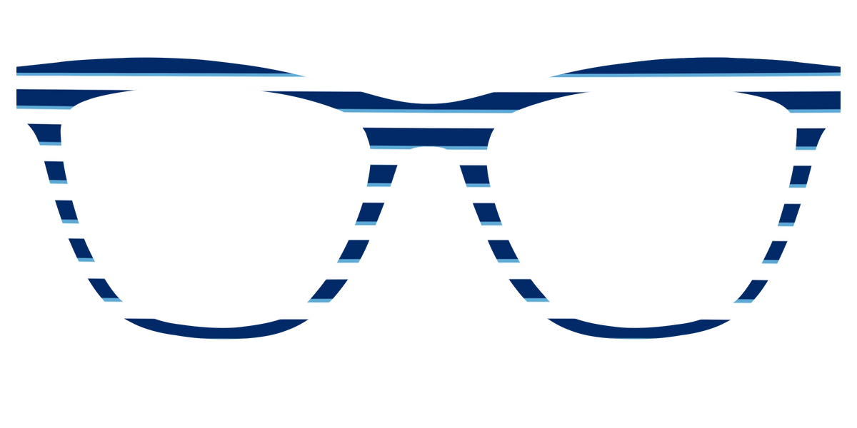 The Navy Stripes