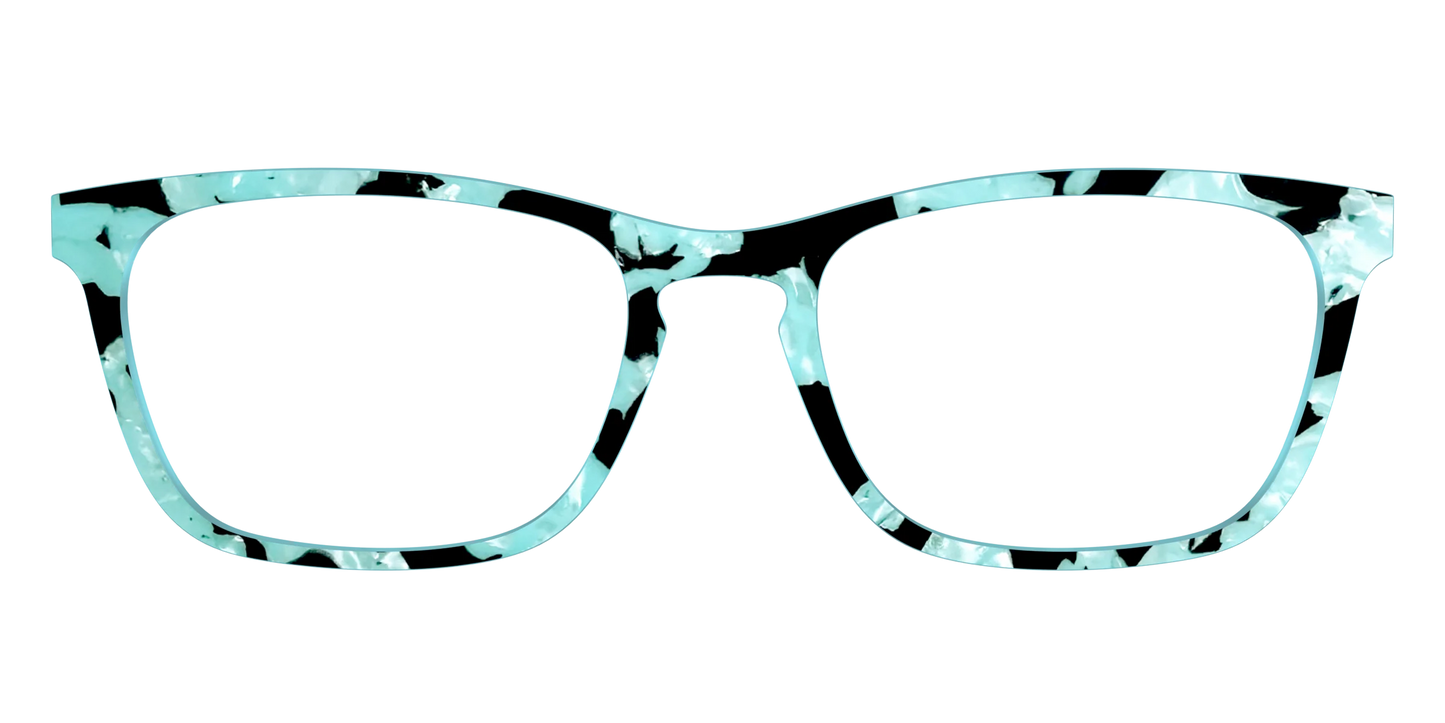 The Robin's Egg Pearl Tortoise