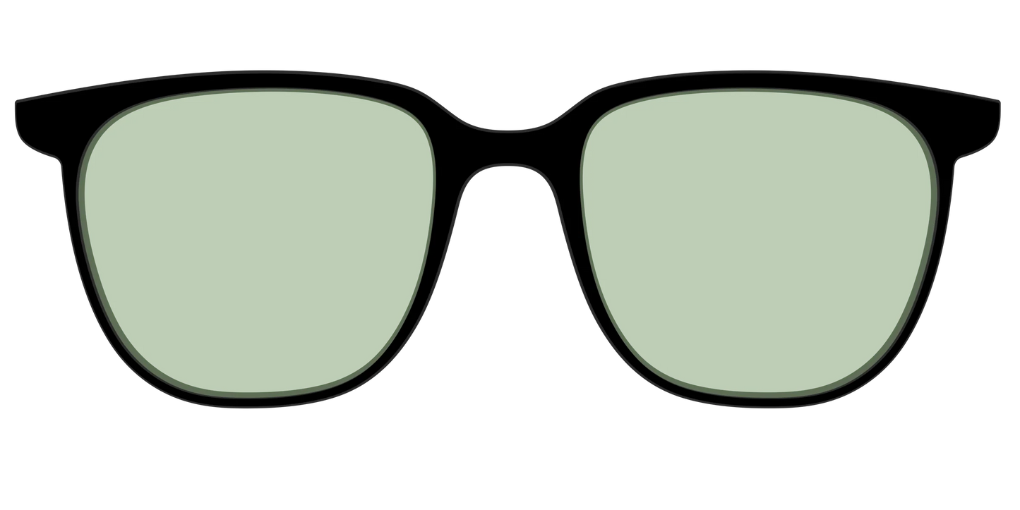 The Black With Sage Green Lens