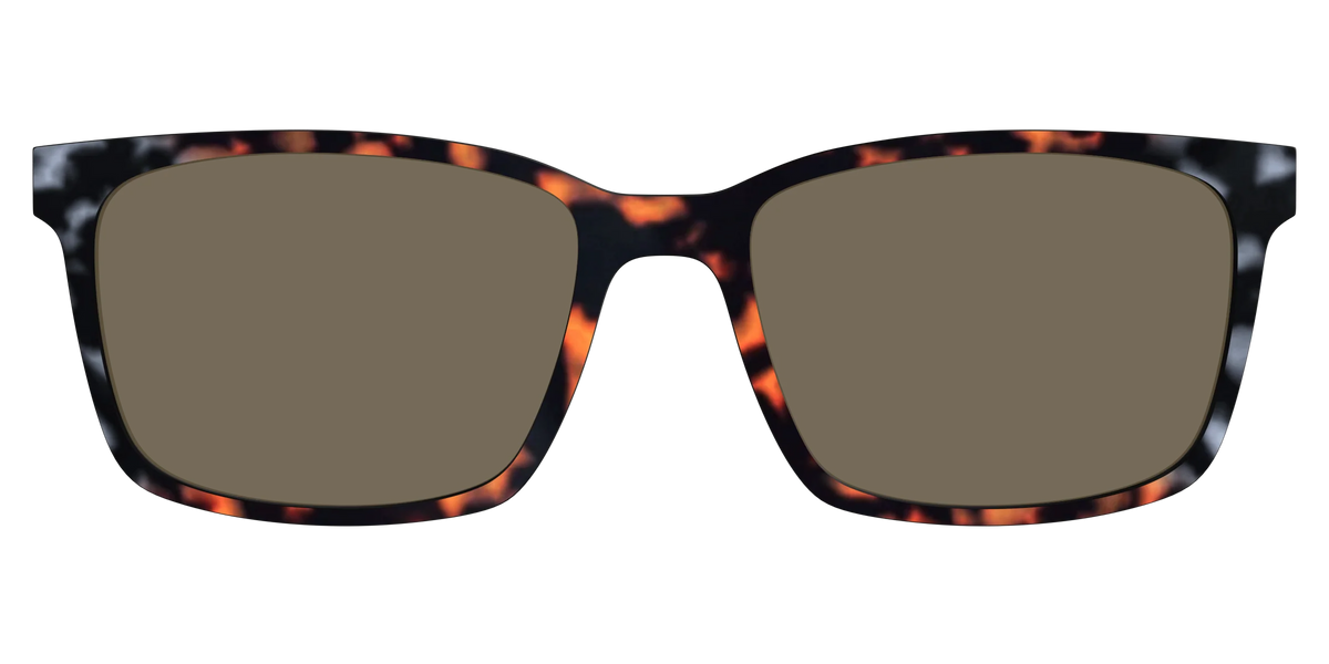 The Polarized Gray & Amber Tortoise Sun Top