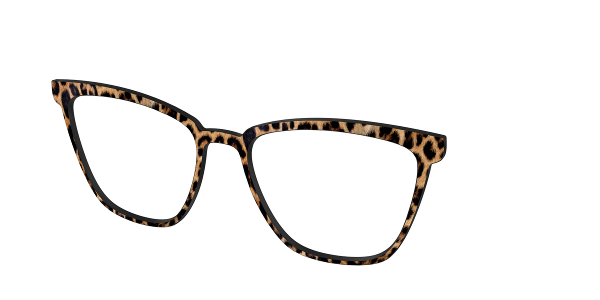 The Cheetah Spots