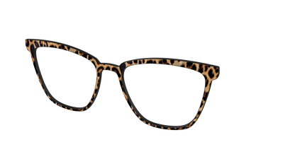 The Cheetah Spots