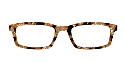 The Caramel Pearl Tortoise